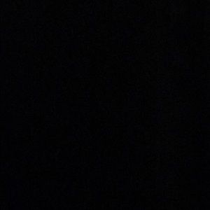 Meet your Posher, Sandy